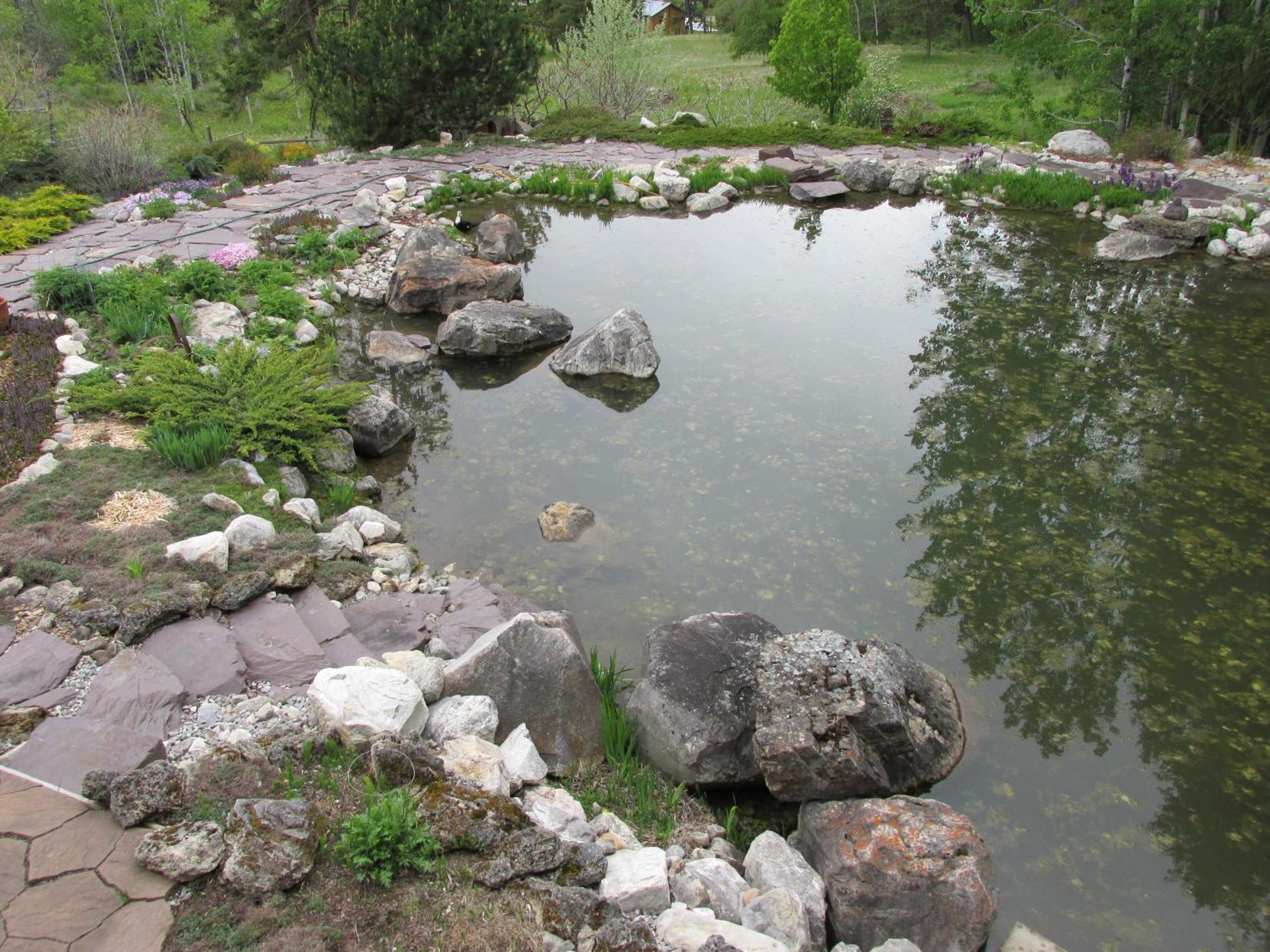 Beard'S Creek Bed And Breakfast Parson Екстер'єр фото